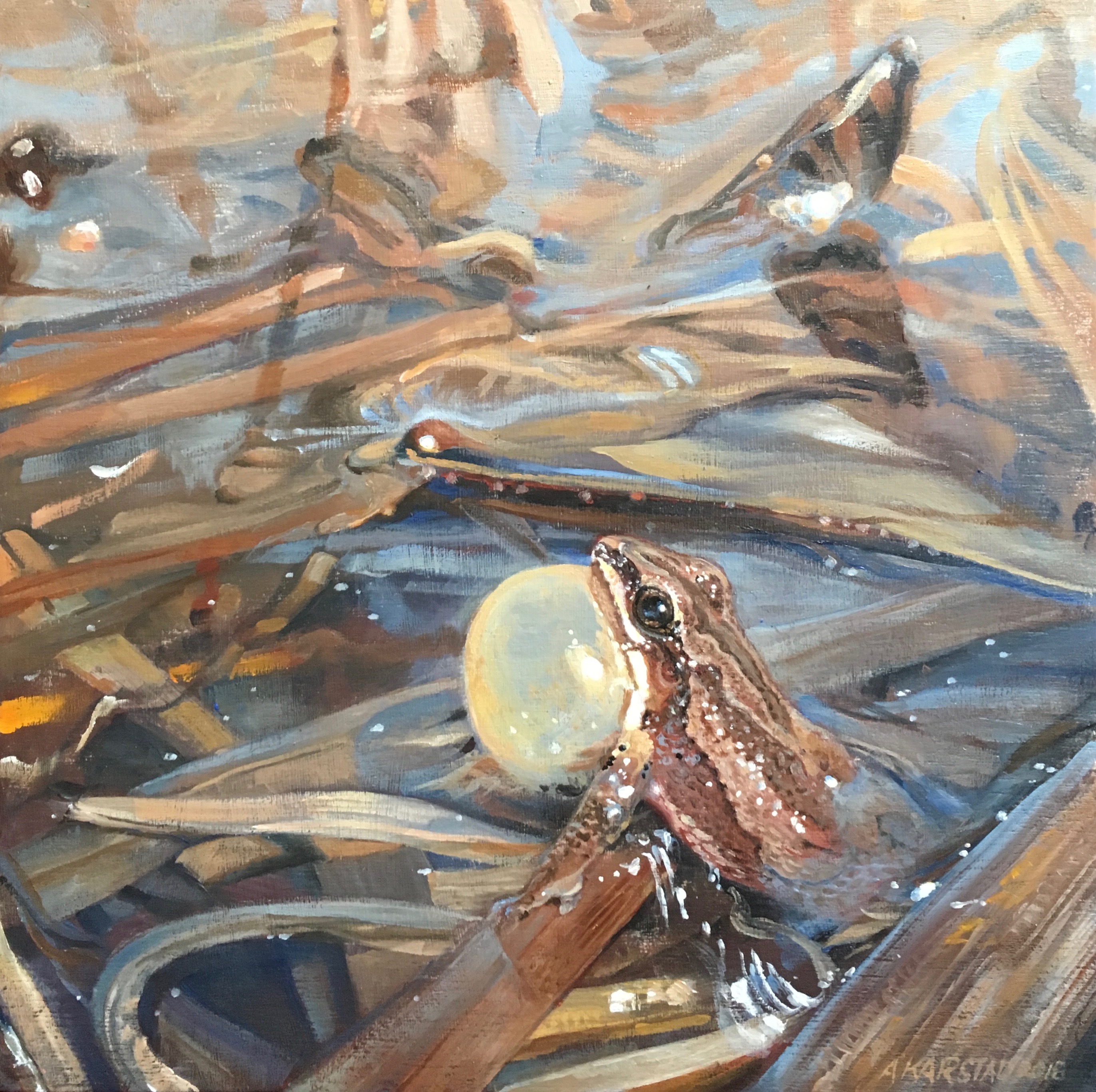 chorus frog painting