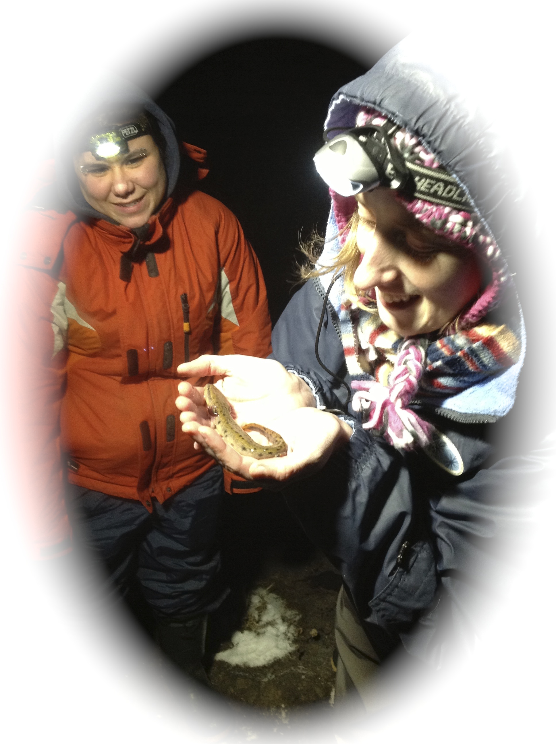 Holding mudpuppy